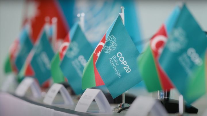 COP29 and the Evolution of Carbon Markets: Key Article 6 Milestones Agreed
