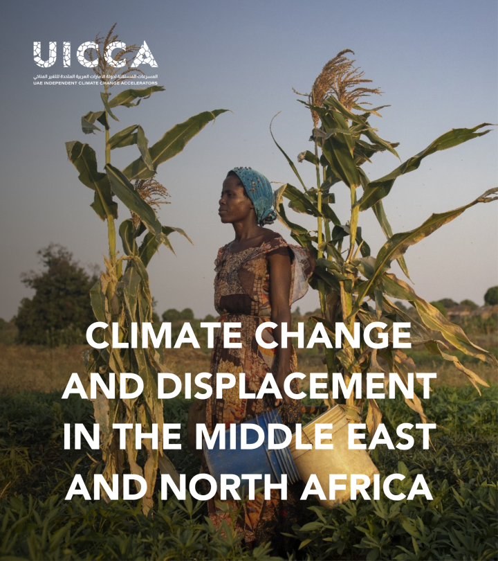 Factsheet: Climate Change and Displacement in MENA